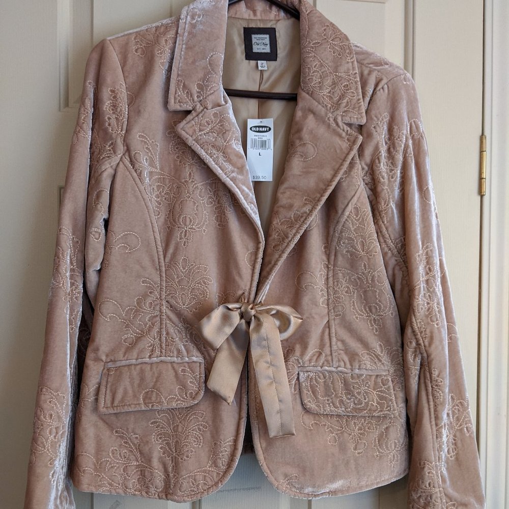 Pink Crushed Velvet Embroidered Blazer Jacket New